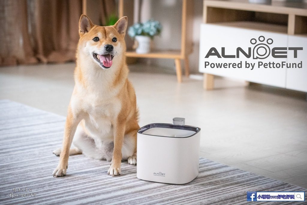 寵物好物分享 ALNPET 寵物偵測殺菌式飲水機 小珊珊提供