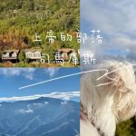 新竹尖石寵物友善景點 上帝的部落司馬庫斯 跟著鹿比與嚕咪一起看世界