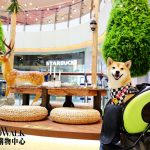 桃園中壢寵物友善景點 中壢大江購物中心 小珊珊提供