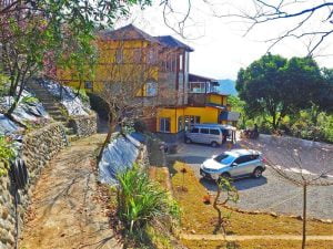 新竹芎林寵物友善餐廳-柴木屋珈啡