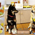 新北新莊寵物友善餐廳 柴飽早午餐 小珊珊提供