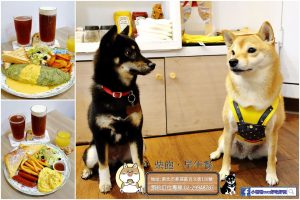 新北新莊寵物友善餐廳 柴飽早午餐 小珊珊提供
