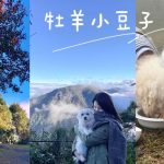 新竹五峰寵物友善景點 牧羊小豆子 跟著鹿比與嚕咪一起看世界