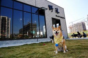 台中北屯寵物友善餐廳 野沐私房菜 小珊珊提供