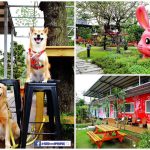 桃園大園親子寵物餐廳 陽光莊園 小珊珊提供