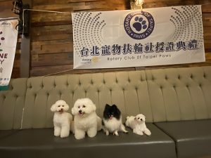 寵物活動 台北寵物扶輪社授證典禮 petsyoyo寵遊網
