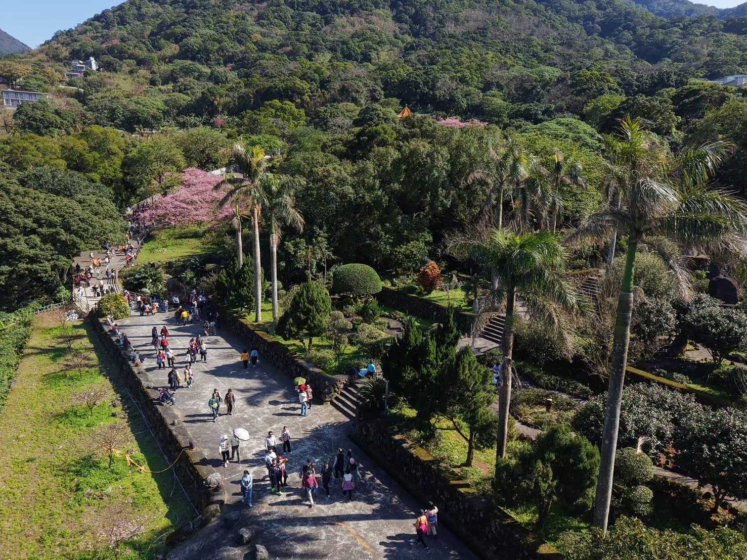 2026 PetZoo 櫻花市集-毛孩走春公益生活節 寵物市集