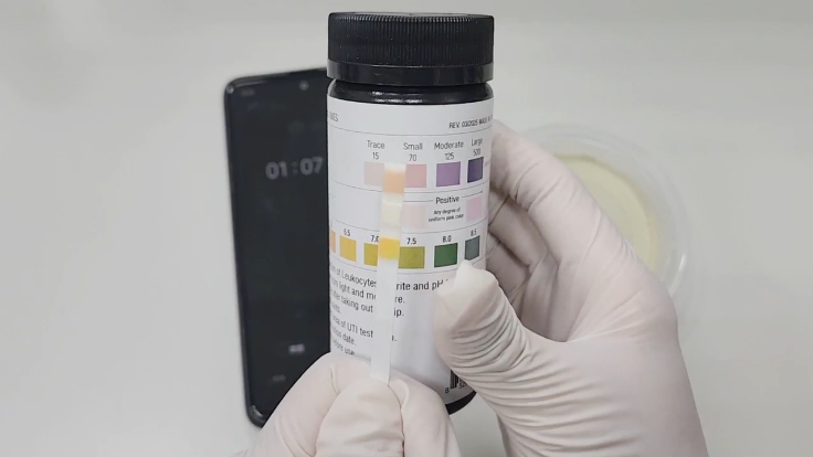 PetTest 寵物泌尿道檢測尿液試紙