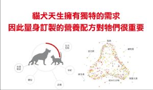 法國皇家飼料 全球領先的營養學専家團隊