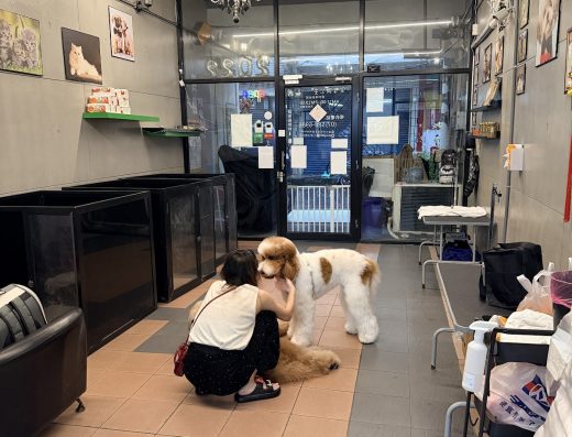 王子與公主寵物美容（左營店）
