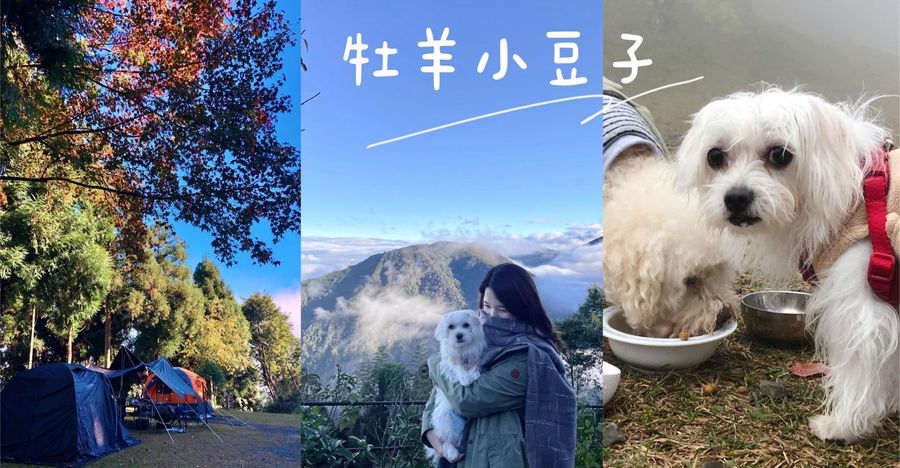 petsyoyo寵新聞-新竹五峰寵物友善景點 牧羊小豆子 跟著鹿比與嚕咪一起看世界
