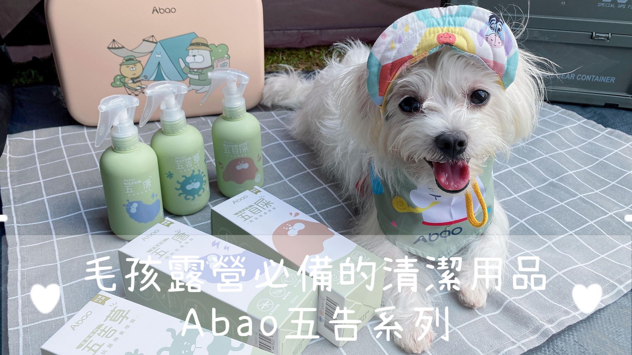 petsyoyo寵新聞-寵物商品 Abao阿寶 五告寵物清潔系列 嚕咪醬的玩樂生活