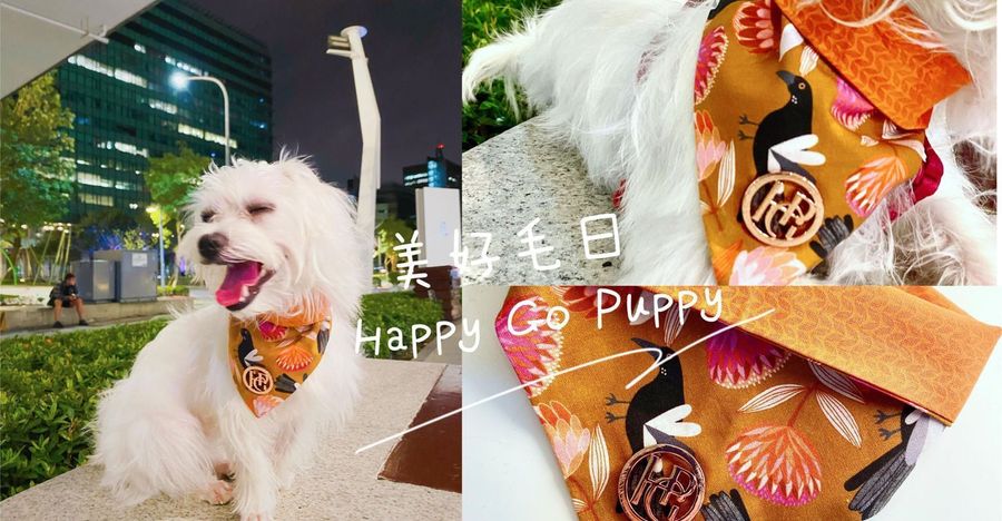 petsyoyo寵新聞-寵物商品 Happy Go Puppy嚕咪醬的玩樂生活