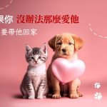 寵物網路民調：「毛孩不見，你會不會放棄找再養就好呢？」