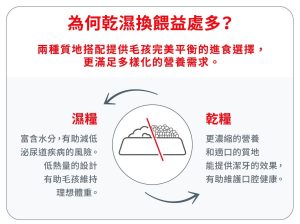 法國皇家飼料 全球領先的營養學専家團隊
