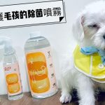 寵物商品 寵好物 必可淨 B-Clean 嚕咪醬的玩樂生活