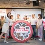 寵物新聞 500元健檢金簡單領！法國皇家公益捐糧3千公斤助浪浪