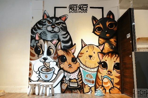 petsyoyo寵物新聞媒體平台 -短短 DuanDuan 貓咪中途咖啡廳 新北板橋寵物餐廳 Paw Dreamer提供