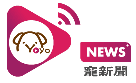 News寵新聞 寵物互動媒體 Petsyoyo寵遊網