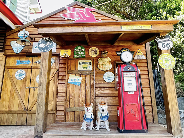 petsyoyo寵物新聞媒體平台 三芝淺水灣寵物友善餐廳 牛仔莊園美式餐廳 牛仔莊園美式餐廳 比比的祕密花園