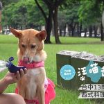 台中寵物友善餐廳 13家西式料理餐廳大集合 米克斯菲菲的走跳日記