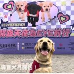 【2024導盲犬月】惠光導盲犬月高雄場 精彩回顧