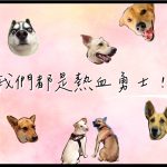 屏科大獸醫輸血醫學中心