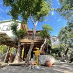 森園寵物友善樹屋咖啡莊園 新竹寵物友善餐廳 景點 比比的秘密花園