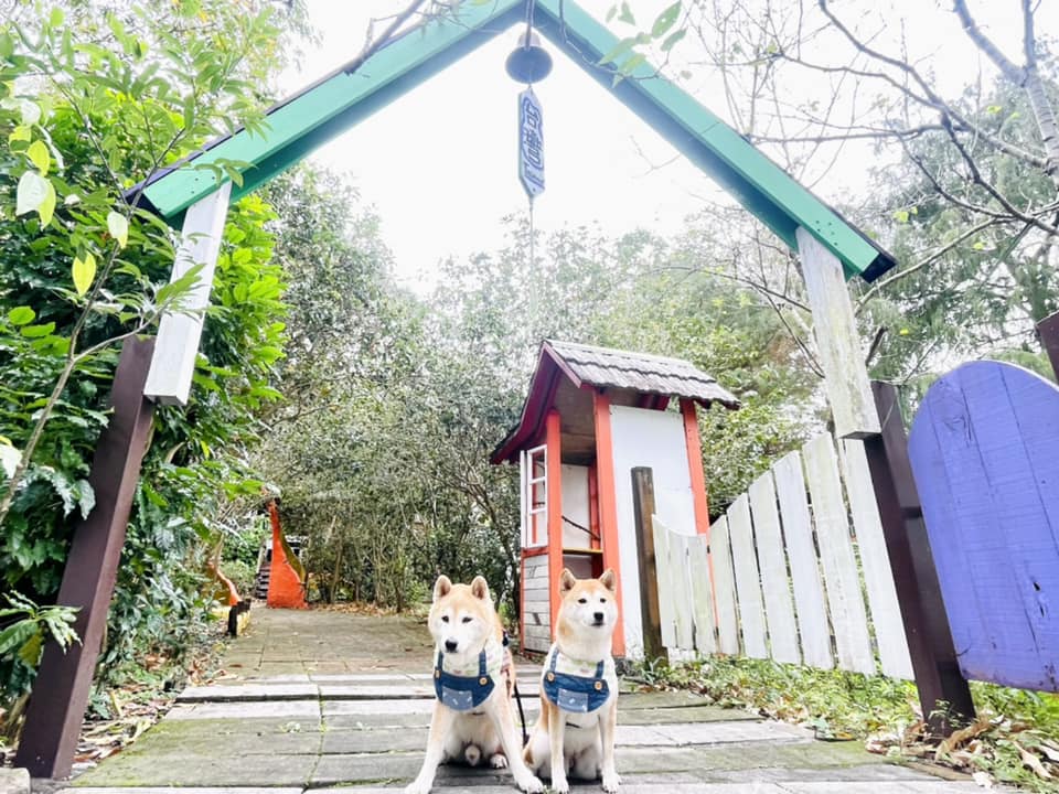 幸福20號農場 宜蘭冬山寵物友善餐廳 比比的秘密花園