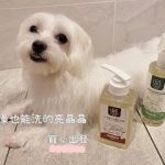 Abao阿寶 五告寵物清潔系列 嚕咪醬的玩樂生活 寵物商品 petsyoyo寵遊網