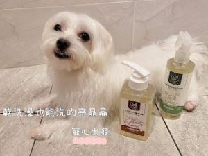 Abao阿寶 五告寵物清潔系列 嚕咪醬的玩樂生活 寵物商品 petsyoyo寵遊網