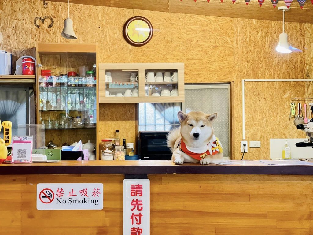 森園寵物友善樹屋咖啡莊園 新竹寵物友善餐廳 景點 比比的秘密花園