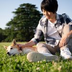 夏日除蚤大作戰
