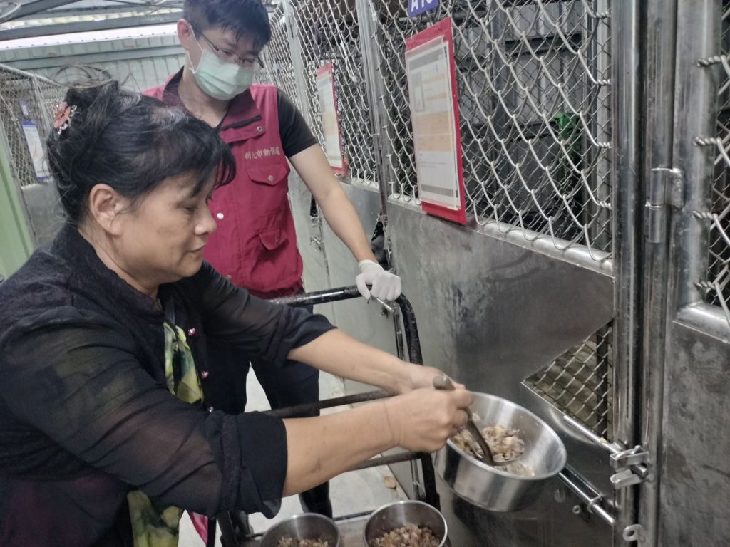 新北市動保處 333政策 愛心鄭媽媽料理鮮食 毛寶貝們盡情享受佳餚 寵物新聞 寵物媒體