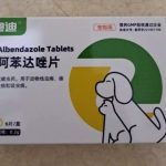 台北市動保處 提醒民眾勿擅自輸入動物用藥品 寵物新聞 寵物媒體