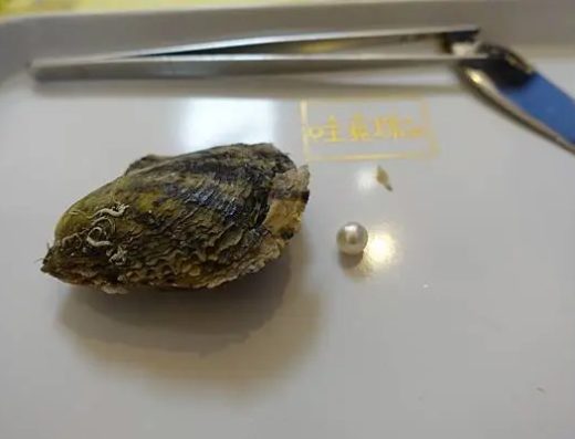 哇真珠（恆春館）