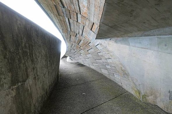 渭水之丘 宜蘭寵物友善景點