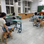 貓奴課程又來囉 臺北市毛孩學院春季班熱烈招生中