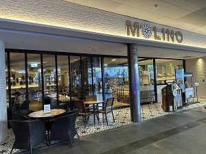 MOLINO 台中草悟廣場店 台中寵物友善餐廳 Yu Ching部落客