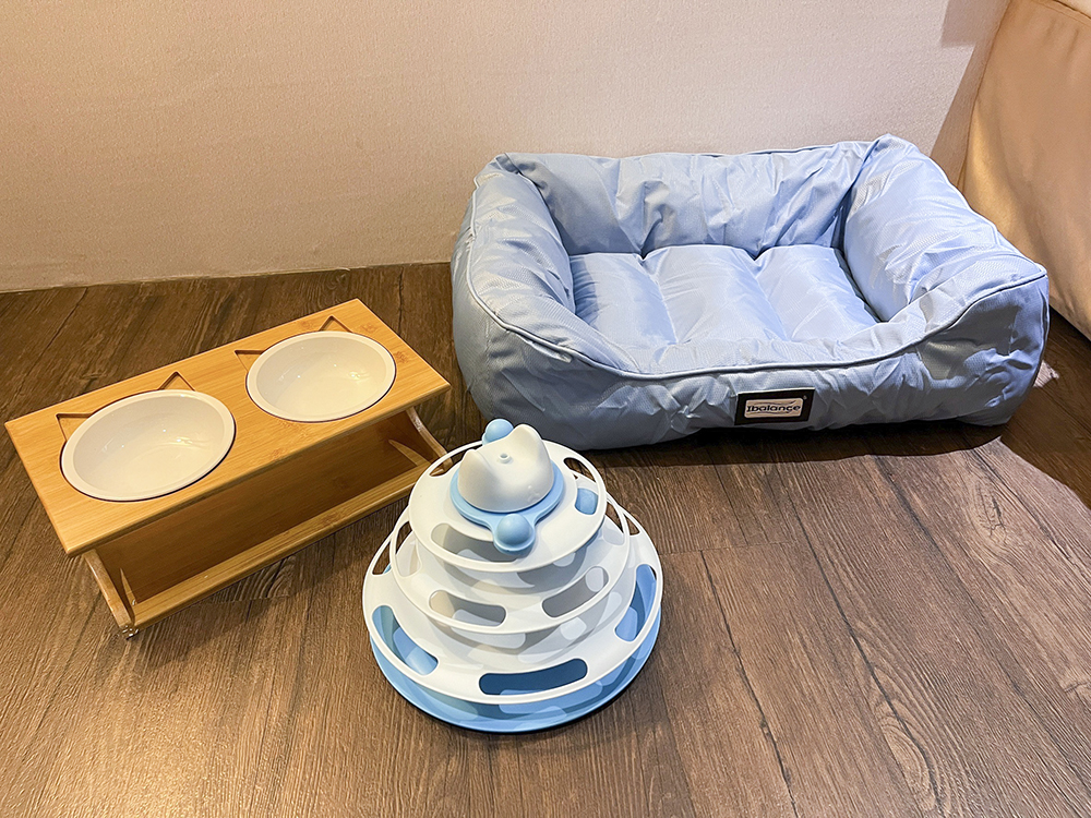 桃園蜜月世紀大飯店 桃園寵物友善住宿