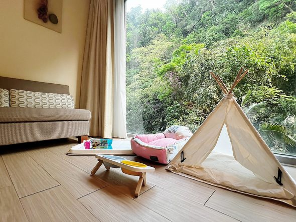 知本金聯世紀酒店 台東卑南寵物友善住宿 台東寵物友善飯店