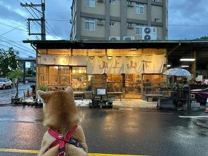 山上山下 南投埔里寵物友善餐廳 Yu Ching