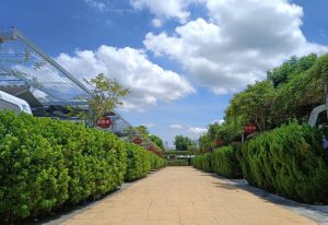 歐鄉莊園商旅 彰化員林寵物友善露營