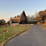 黑森林景觀咖啡 台中沙鹿寵物友善餐廳 Yu Ching