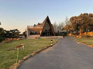 黑森林景觀咖啡 台中沙鹿寵物友善餐廳 Yu Ching