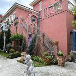 Bacitali小義大利 台中南屯寵物友善餐廳 Yu ching