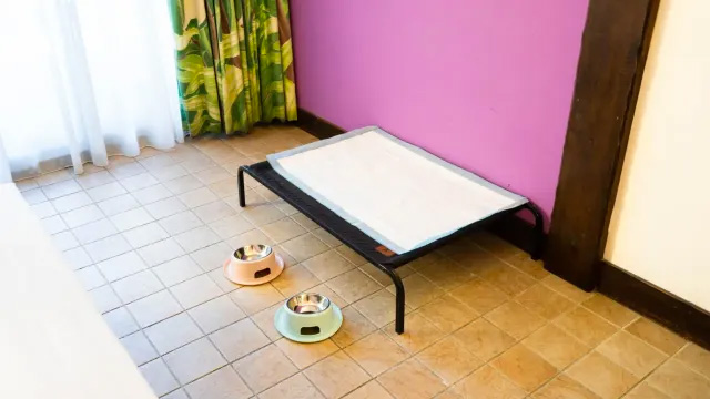 墾丁悠活渡假村 YOHO 屏東墾丁寵物友善飯店