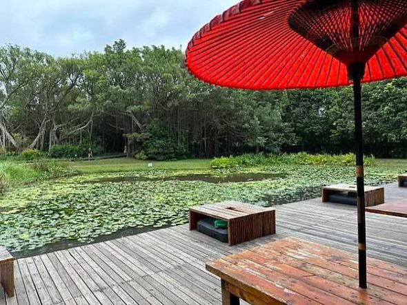 好客食堂 桃園觀音寵物友善餐廳 Yu ching