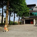 宜蘭寵物友善民宿 享佇民宿 小珊珊提供