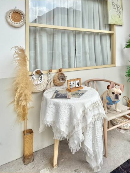 AKS-brunch早午餐 台南永康寵物友善餐廳